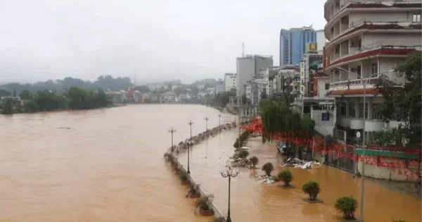 Vyetnamda güclü yağışlar nəticəsində 37 nəfər ölüb