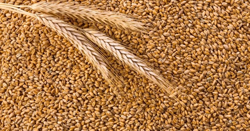 İdxal olunan məhsullar 25 faiz bahalaşıb