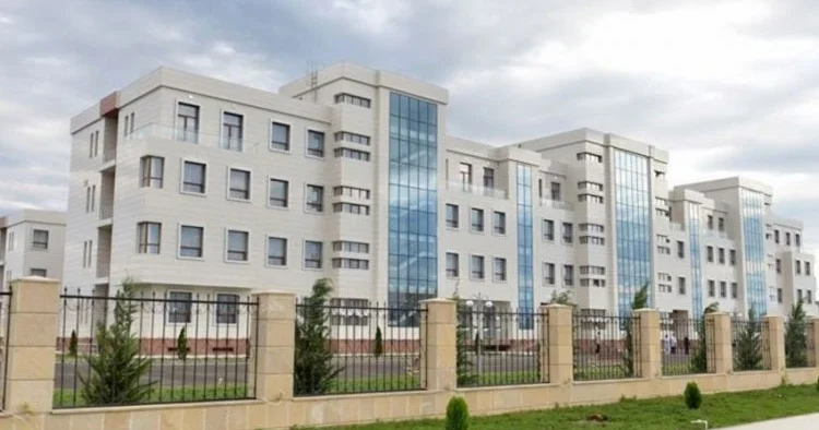 Врачи из Евлахской больницы приговорены к 3 годам за смерть ребёнка Minval Politika