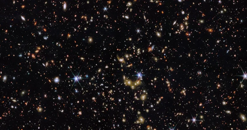 Çin kosmosa siçan göndərdi