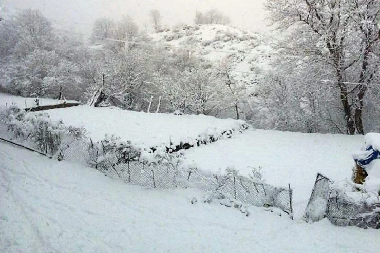 Şahbuza 17 sm qar yağıb FAKTİKİ HAVA