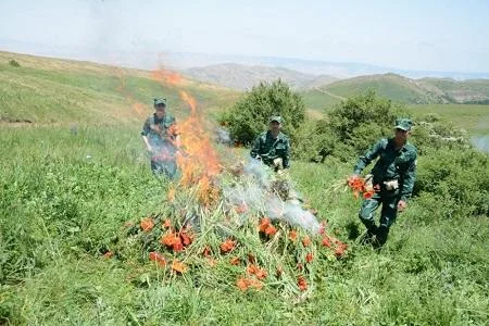 Vətəndaş A serialı üçün qaldırılan dronu DSX vurdu