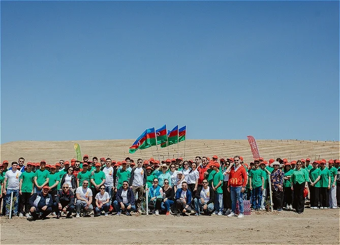 McDonalds Azərbaycan EcoAmbassadors layihəsini başa vurub Xəbər saytı Son xəbərlər və Hadisələr