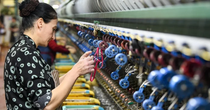 Baramanı ipəyə çevirənlər VİDEO