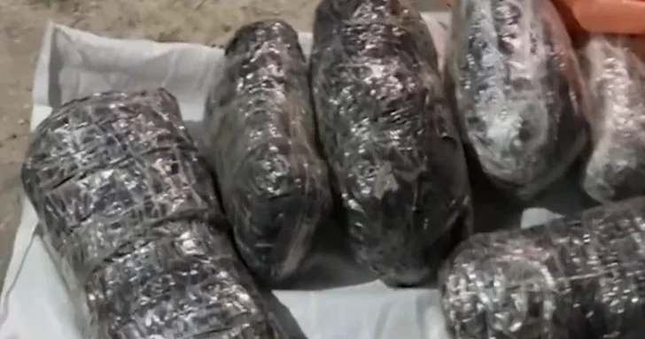 Правоохранители изъяли почти 14 кг наркотиков у рецидивиста