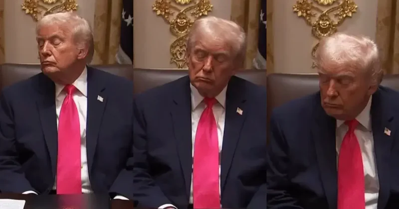 Tramp toplantının ortasında yuxuya getdi... VİDEO