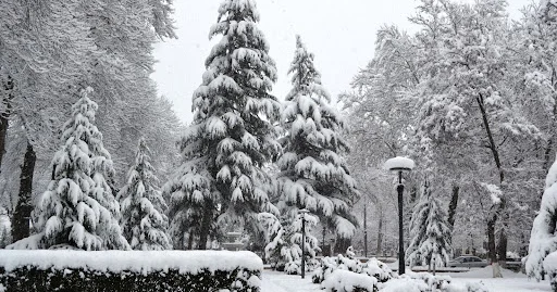 İsmayıllıya ilk qar yağdı VİDEO