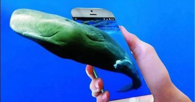 Kəmalənin faciəsi təkrar olmasın XƏBƏRDARLIQ