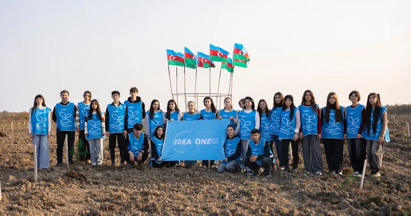 IDEA Xaçmaz və Şabranda növbəti ağacəkmə aksiyaları təşkil etdi