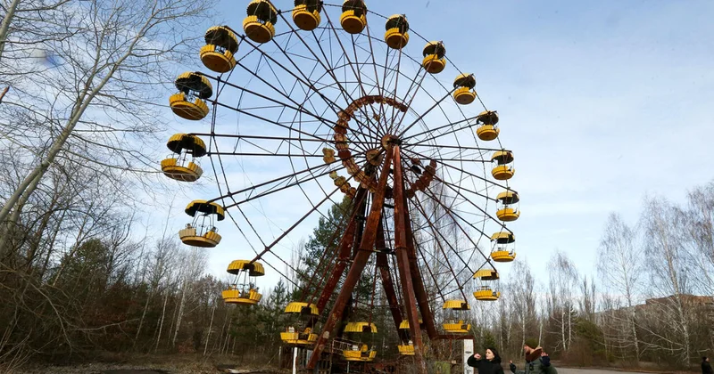 В Чернобыле обнаружили новую форму жизни