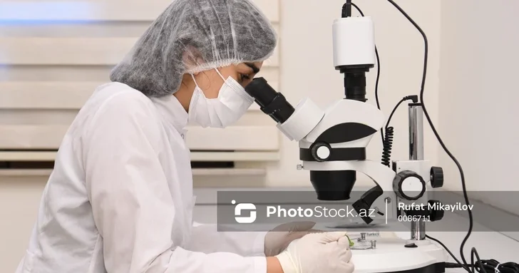 Аллерготесты в Азербайджане: частные клиники зарабатывают, государственные отстают