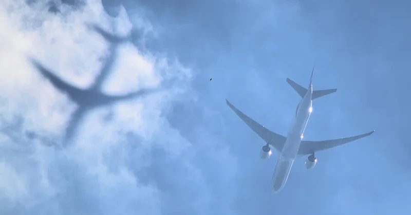 Puketə uçan təyyarə məcburi eniş etdi