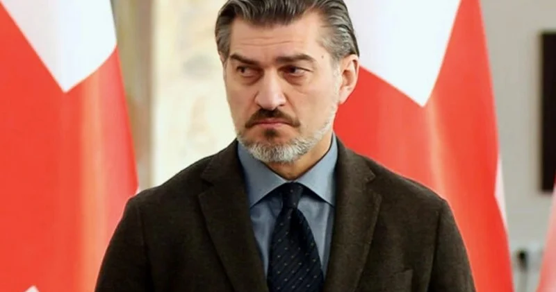 Kavelaşvili: Gürcüstan 2030 cu ilə qədər Aİ yə üzv olmağa hazırdır