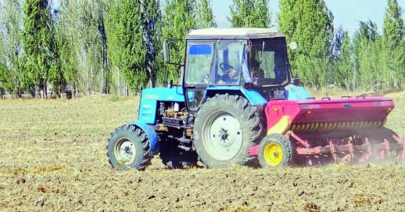 Naxçıvanda payızlıq taxıl səpini