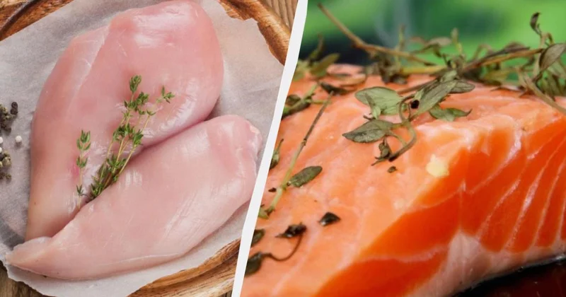 Курица или лосось: что полезнее?