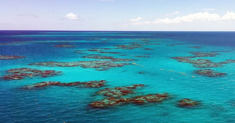 Sahili olmayan cəmi bir dəniz var: Harda yerləşir?