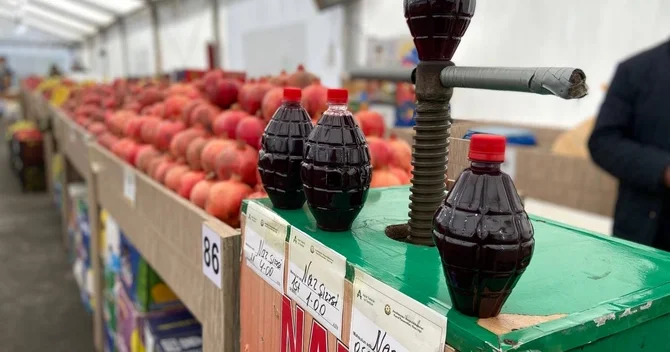 Kənddən Şəhərə yarmarkasında satıcılara nə pulsuz təqdim olunur?