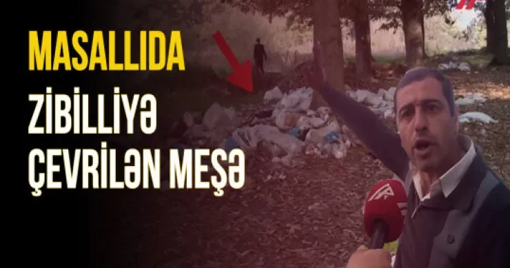 Masallıda zibilləri daşıyıb meşəyə atırlar VİDEO