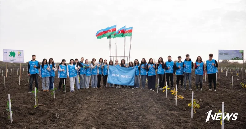 IDEA организовала очередные акции по посадке деревьев в Хачмазе и Шабране ФОТО