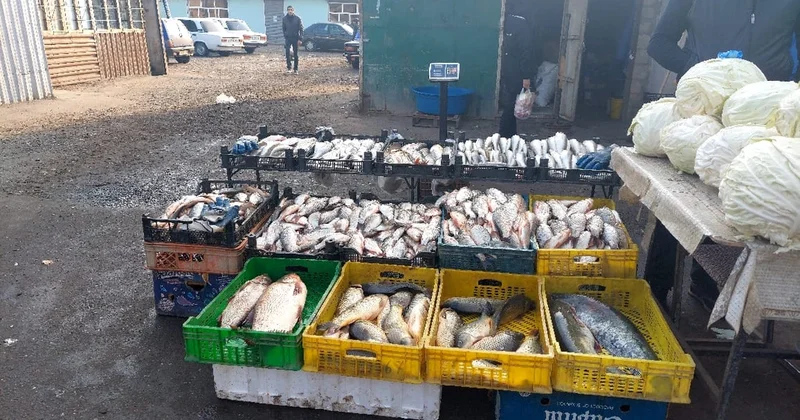 Azərbaycanın bir neçə rayonunda ərzaq bazarlarında nöqsanlar aşkarlandı VİDEO