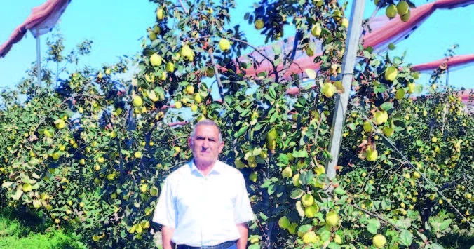 Quba bağlarının “şəfalı loğman”ı