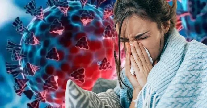 Dünyanı qorxuya salan H3N2 virusu ölkəmizdə də yayıla bilərmi? AÇIQLAMA