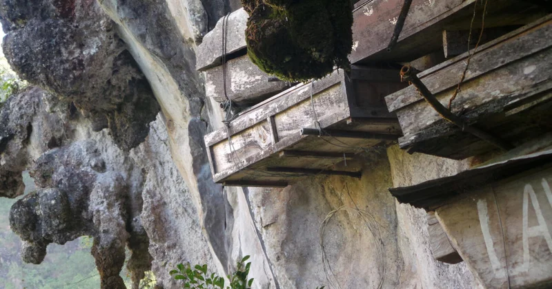 Найдено ДНК подтверждение существования летающего народа в Китае