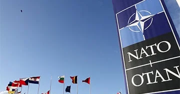 NATO nun timsah gölü...