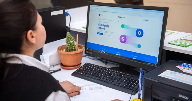 Идет декларирование осенних посевов