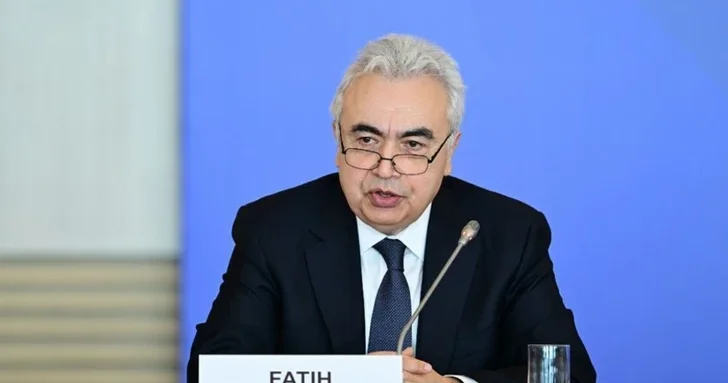 Глава МЭА о решении ЕС по российскому газу: Диверсификация золотое правило энергобезопасности