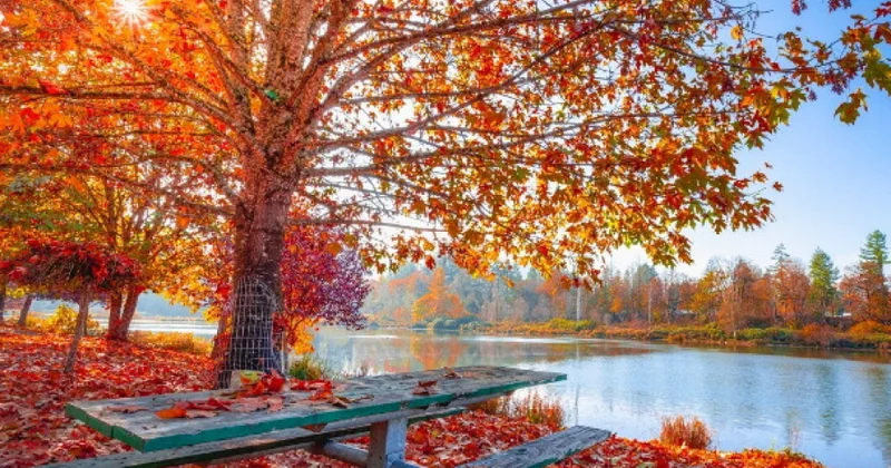 Sabah hava əsasən yağmursuz keçəcək