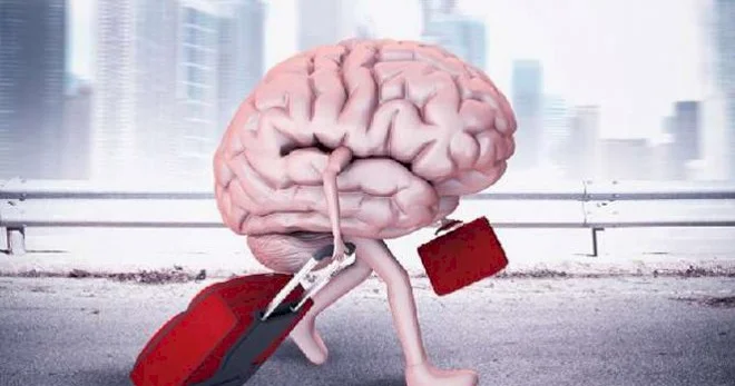 Azərbaycanda beyin köçü: səbəblər nədir?