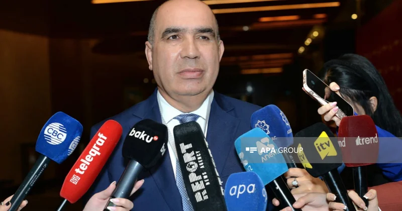 Agentlik sədri: Vətən müharibəsindən sonra Azərbaycan xəritələri yenilənib