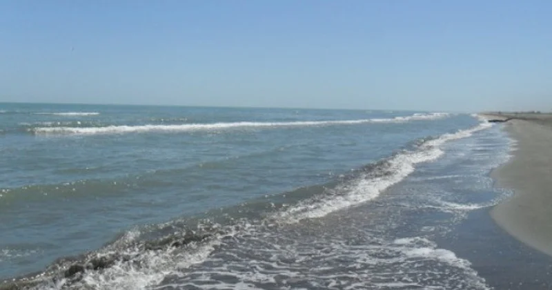 Ana niyə 3 günlük körpəsini dənizə ataraq öldürüb?