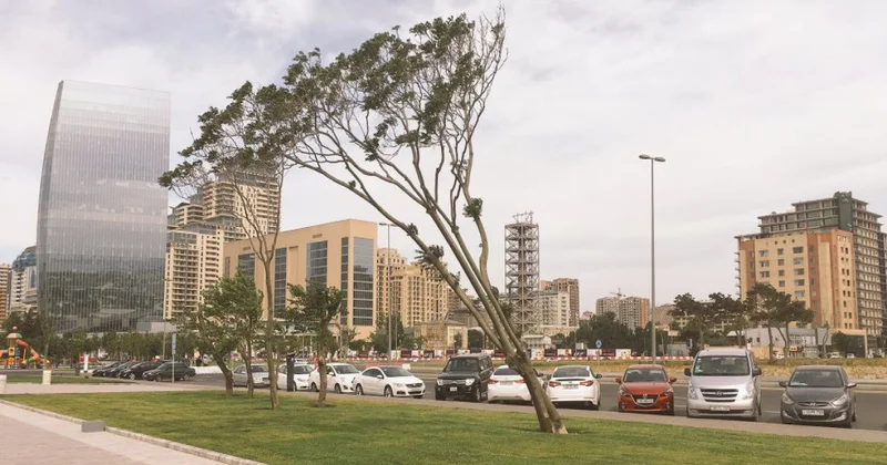 Порывы ветра в Баку достигают 20 м/с Minval Politika