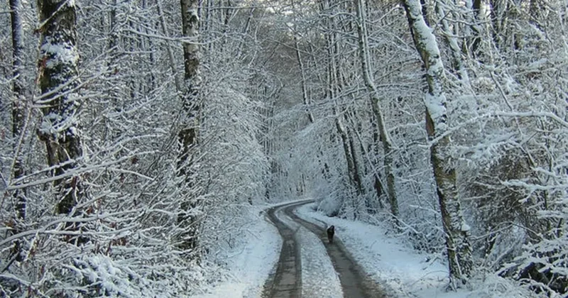 Снежный покров в регионах Азербайджана постепенно уменьшается фактическая погода