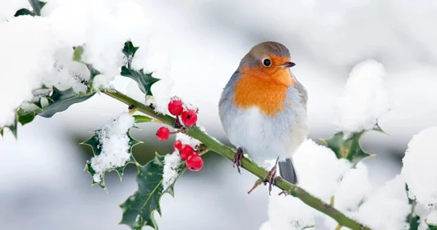 Faktiki hava AÇIQLANDI