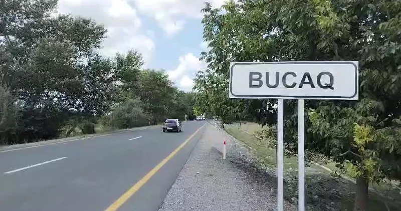 Oğuzda “Mercedes” yoldan çıxaraq ağaca dəydi FOTO