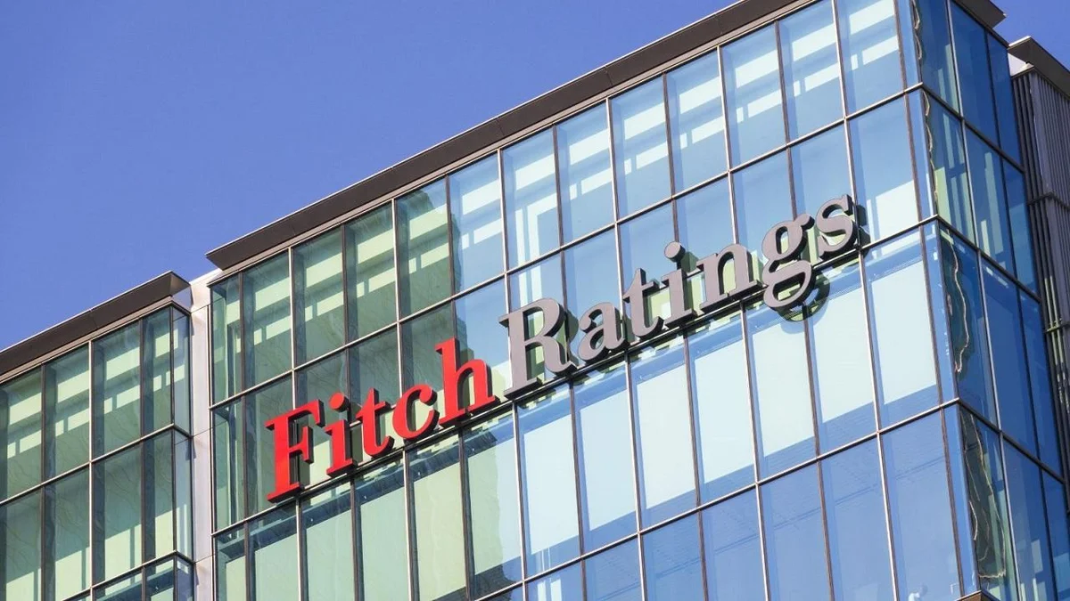 Fitch Türkiyədə inflyasiyanın daha da aşağı düşəcəyini gözləyir