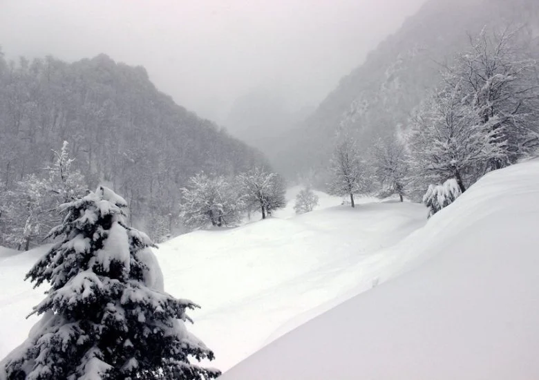 Hava kəskin DƏYİŞİR: Qar yağacaq, yollar buz bağlayacaq BU TARİXDƏ