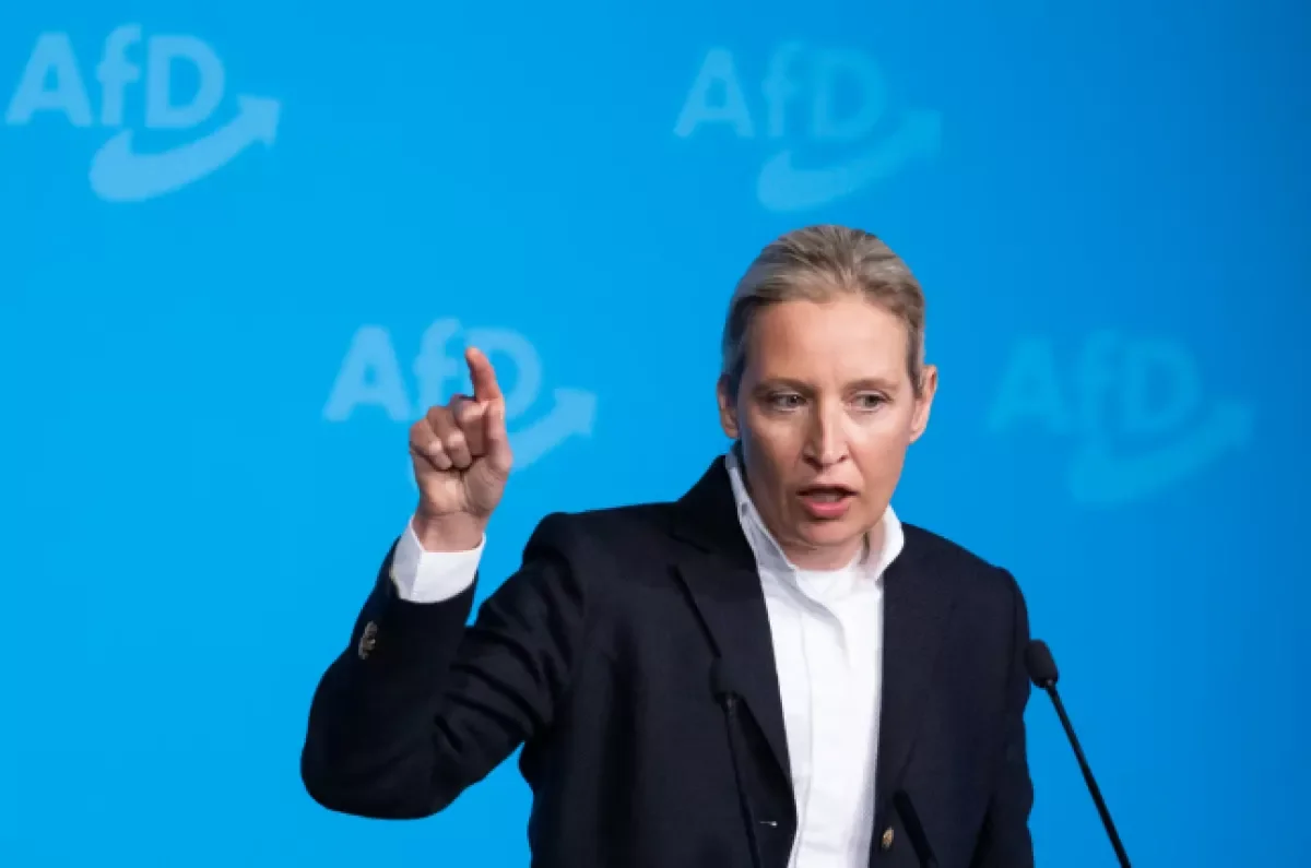 Глава AfD: Холокост используют против нас как дубину