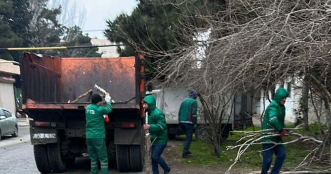 Bakıdakı güclü küləkdə 19 ağac qırıldı