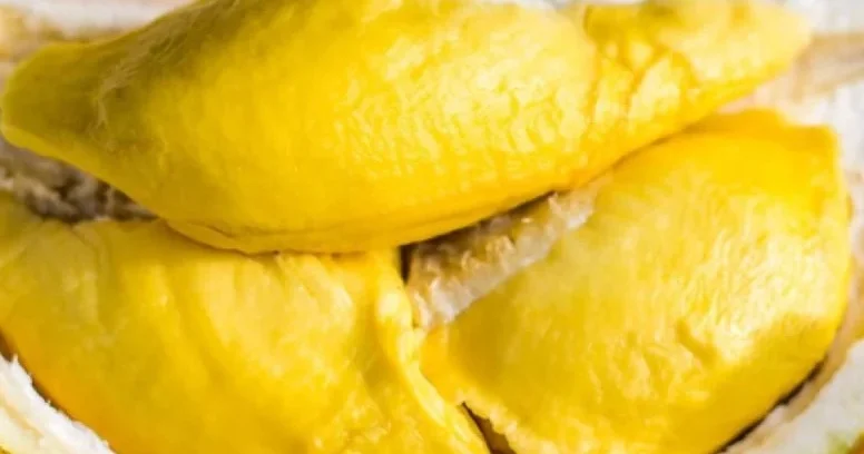 Dünyanın ən bahalı meyvəsidir, lakin yemək qadağandır