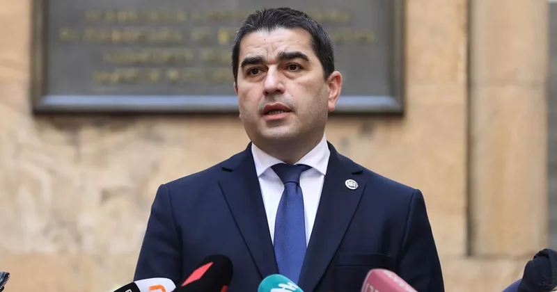 Папуашвили: Брюссель не осудил попытку штурма президентского дворца в Тбилиси