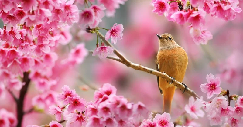 Mart ayının qeyri iş günləri