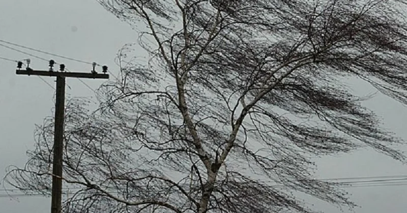 İstehsalat sahələrində təhlükəsizlik tədbirləri gücləndirilib Güclü küləyə görə