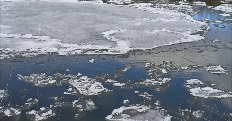 На Днестре мужчина замерз насмерть, переплывая реку ФОТО