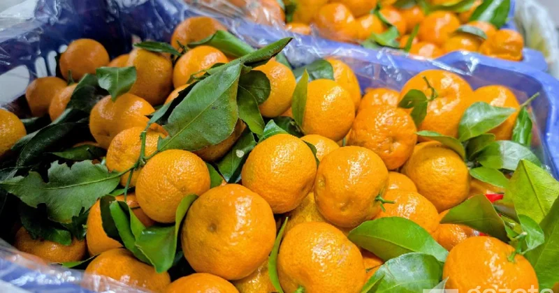Özbəkistan Çindən mandarin və ananas idxalını müvəqqəti olaraq qadağan edib