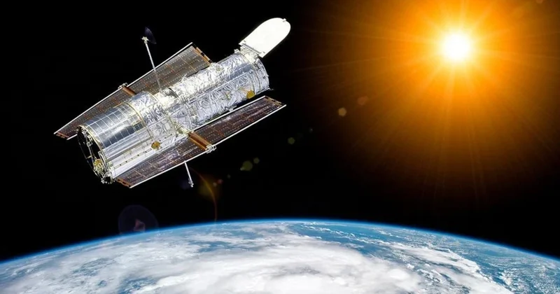 Tarixdə ilk dəfə kosmosda kəpənək sürfədən çıxdı