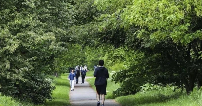 Yavaş hərəkətin 7 maraqlı faydası